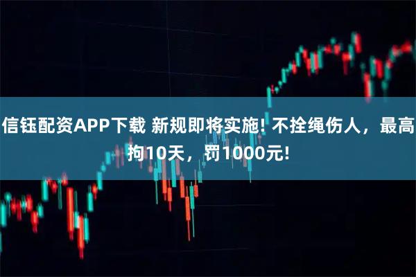 信钰配资APP下载 新规即将实施! 不拴绳伤人,最高拘10天,罚1000元!