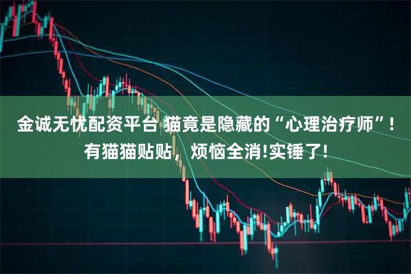 金诚无忧配资平台 猫竟是隐藏的“心理治疗师”!有猫猫贴贴，烦恼全消!实锤了!