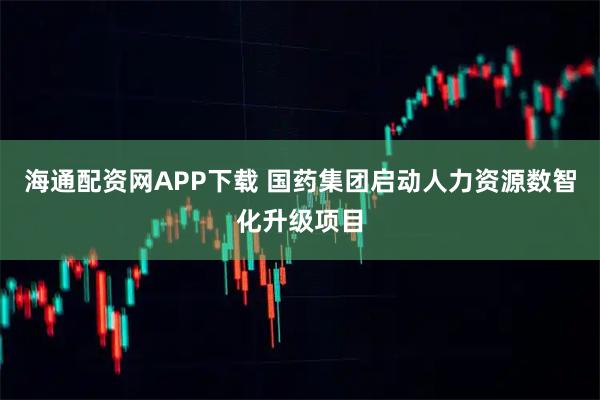 海通配资网APP下载 国药集团启动人力资源数智化升级项目