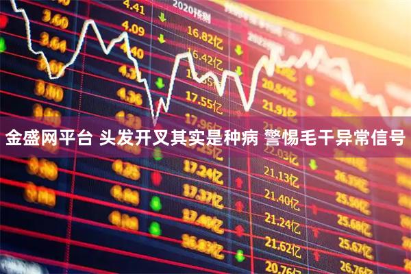 金盛网平台 头发开叉其实是种病 警惕毛干异常信号