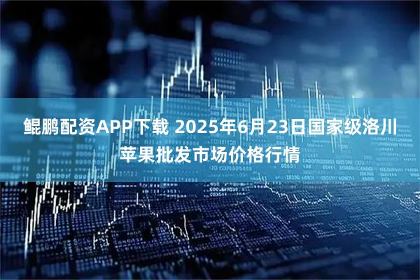 鲲鹏配资APP下载 2025年6月23日国家级洛川苹果批发市场价格行情